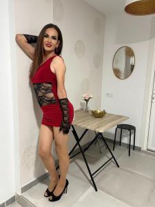 641511548: Transexual en Las Palmas