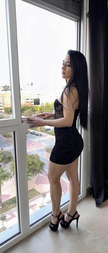 Chica busca chico en Alicante: 