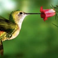 647598308: Chica busca chico en Valencia