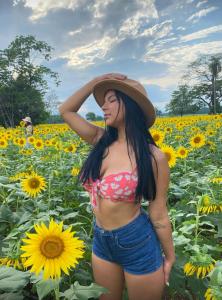 Virtual en Cantabria: 