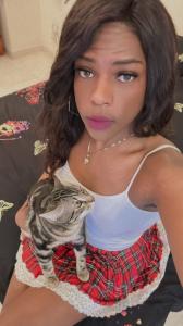 634123867: Travesti en Alicante