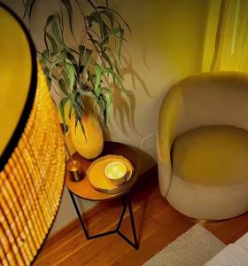 Chico busca chica en Alicante: 