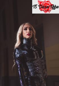 625576569: Virtual en Mallorca