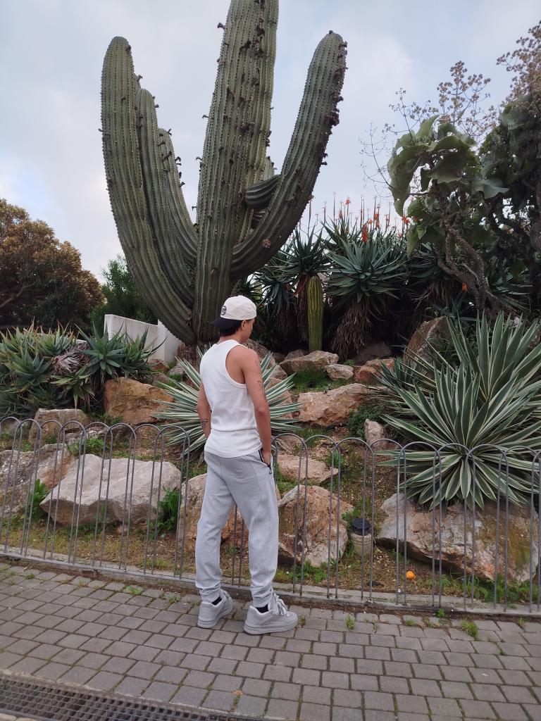 Chico busca chica en Ibiza: 