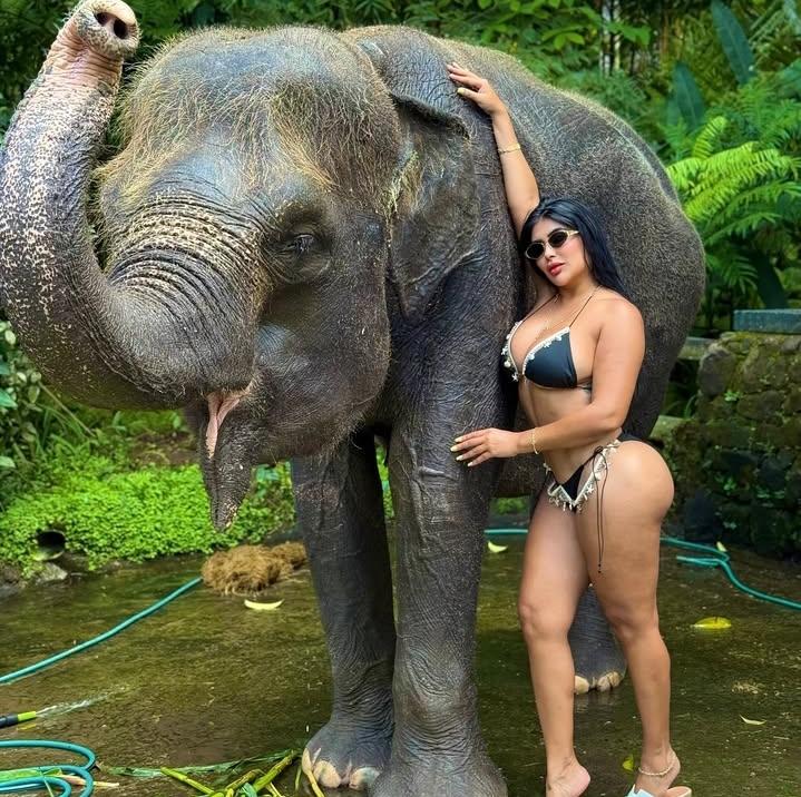 Chica busca chico en León: Chica busca chico