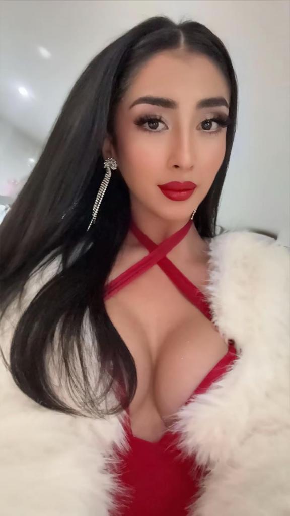 Travesti en Castellón: 