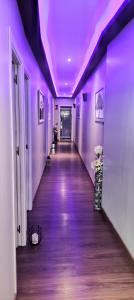 865528304: Chica busca chico en Alicante