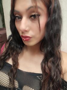 Transexual en Navarra: 