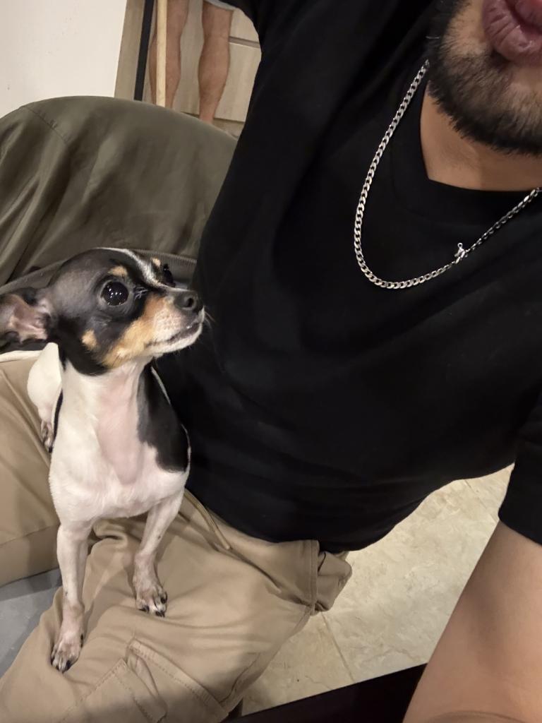 Chico busca chica en Madrid: 