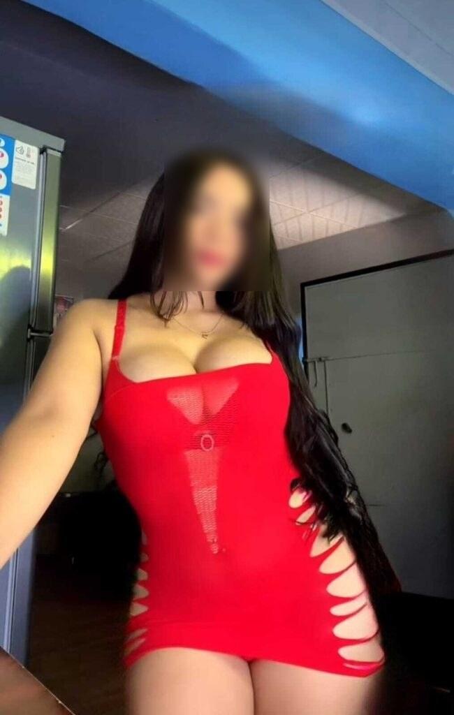 Chica busca chico en Álava: 