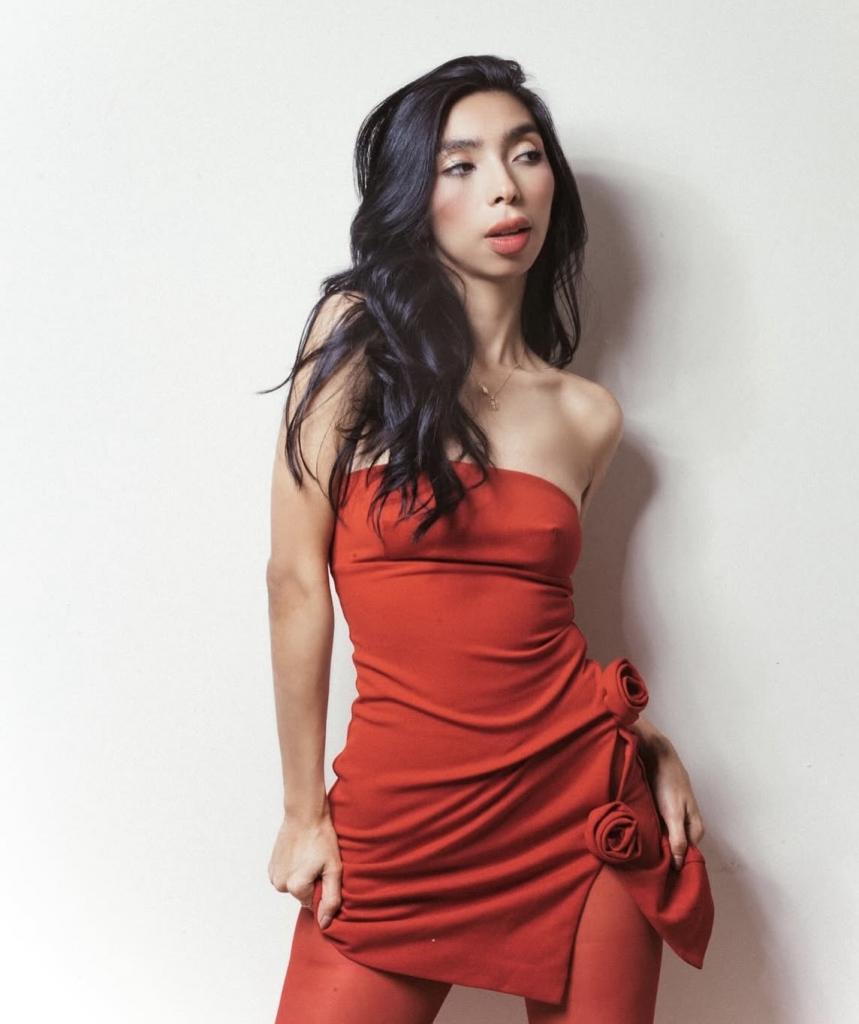 Transexual en Alicante: Transexuales y Travestis