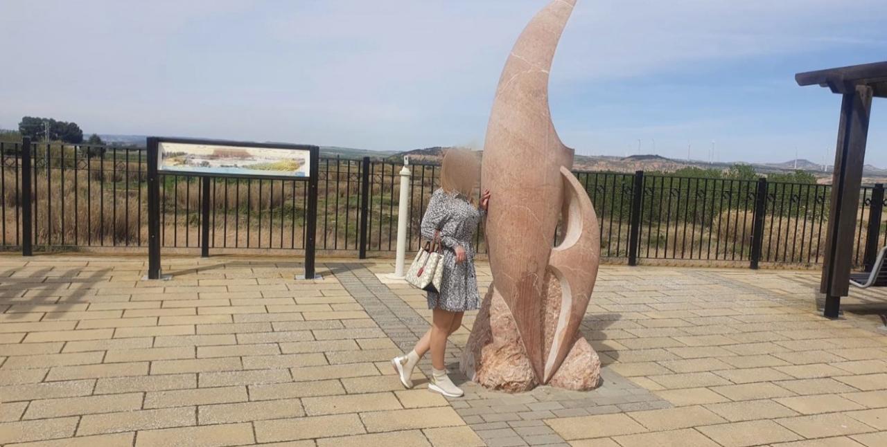 Chica busca chico en Navarra: 