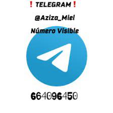 664096450: Chica busca chico en Zamora