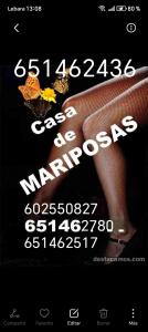 651462517: Chica busca chico en Valladolid