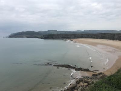 Chico busca chica en Guadalajara: 