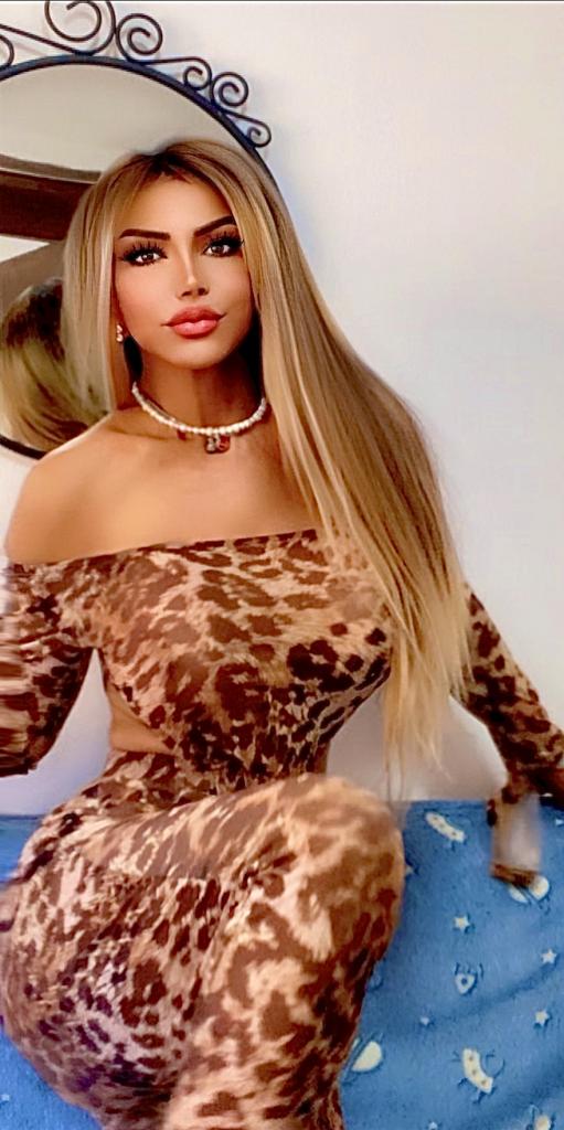 Transexual en Zaragoza: Transexuales y Travestis