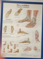 604148935: Chica busca chico en Zaragoza